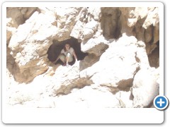 Safari, lizz in hole