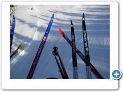 XC skiing at Mt Washington
