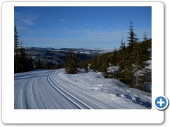 XC skiing at Mt Washington