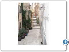 Gorgeous street & puddy cat