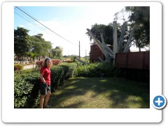 Revolution Train Attack