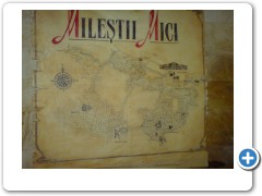 Moldova, Chisinau, Vineyard