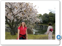 At the Palace in Kyoto