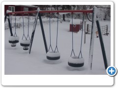 Feb snow ... so cute